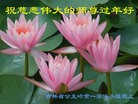 ֹ,ʡ󷨵ӹףʦ(22)
