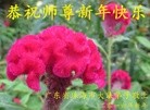 ֹ,㶫󷨵ӹףʦ(28)
