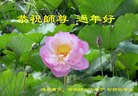ֹ,ݴ󷨵ӹףʦ(27)

