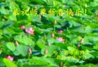 法轮功,哈尔滨大法弟子恭祝师尊新年快乐(26条)
