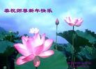 ֹ,ϴ󷨵ӹףʦ(25)

