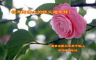 Published on 2/7/2016 ���ֹ�,��½�󷨵��ӹ�ףʦ�������(29��)
