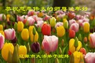 Published on 2/7/2016 ���ֹ�,��½�󷨵��ӹ�ףʦ�������(29��)

