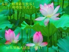 Published on 2/7/2016 ���ֹ�,��½�󷨵��ӹ�ףʦ�������(27��)
