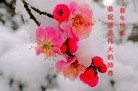 ֹ,ൺ󷨵ӹףʦ(28)
