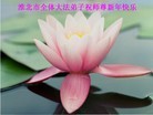 ֹ,մ󷨵ӹףʦ(26)
