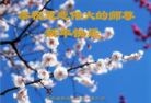 ֹ,ൺ󷨵ӹףʦ(28)
