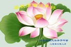 Published on 2/8/2016 ���ֹ�,��½�󷨵��ӹ�ףʦ�������(43��)
