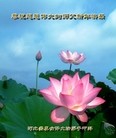 ֹ,󷨵ӹףʦ(28)
