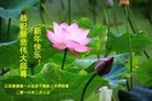 ֹ,󷨵ӹףʦ(23)
