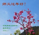 Published on 2/7/2016 ���ֹ�,��½�󷨵��ӹ�ףʦ�������(29��)

