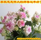 Published on 2/7/2016 ���ֹ�,��½�󷨵��ӹ�ףʦ�������(29��)
