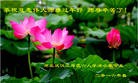 ֹ,人󷨵ӹףʦ(28)
