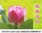 ֹ,󷨵ӹףʦ(26)
