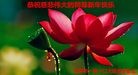 ֹ,󷨵ӹףʦ(26)
