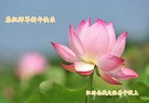 ֹ,󷨵ӹףʦ(23)
