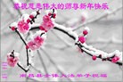 ֹ,󷨵ӹףʦ(23)
