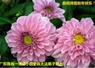 ֹ,㶫󷨵ӹףʦ(30)
