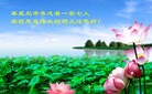 ֹ,ػʵ󷨵ӹףʦ(28)
