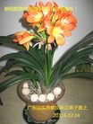 Published on 2/7/2016 ���ֹ�,��½�󷨵��ӹ�ףʦ������(27��)
