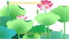 Published on 2/7/2016 ���ֹ�,��½�󷨵��ӹ�ףʦ������(27��)
