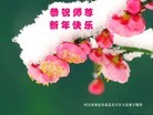 法轮功,保定大法弟子恭祝师尊过年好(32条)
