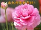 ֹ,󷨵ӹףʦ(25)
