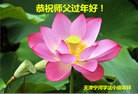Published on 2/7/2016 ���ֹ�,��½�󷨵��ӹ�ףʦ������(27��)

