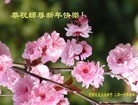 Published on 2/8/2016 ���ֹ�,��½�󷨵��ӹ�ףʦ������(36��)
