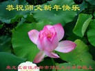 Published on 2/8/2016 ���ֹ�,��½�󷨵��ӹ�ףʦ������(36��)
