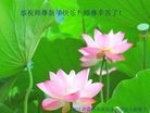 ֹ,㽭󷨵ӹףʦ(27)
