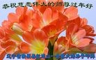 ֹ,մ󷨵ӹףʦ(23)
