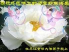Published on 2/7/2016 ���ֹ�,��½�󷨵��ӹ�ףʦ������(27��)

