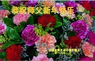 ֹ,󷨵ӹףʦ(27)

