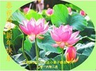 ֹ,󷨵ӹףʦ(27)
