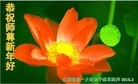 ֹ,󷨵ӹףʦ(27)
