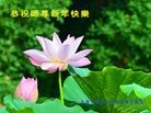 Published on 2/7/2016 ���ֹ�,��½�󷨵��ӹ�ףʦ������(27��)
