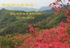 Published on 2/7/2016 ���ֹ�,��½�󷨵��ӹ�ףʦ������(27��)
