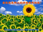 ֹ,󷨵ӹףʦ(26)
