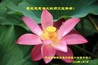 Published on 2/8/2016 ���ֹ�,��½�󷨵��ӹ�ףʦ������(29��)
