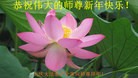 ֹ,󷨵ӹףʦ(25)
