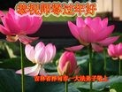 ֹ,д󷨵ӹףʦ(25)
