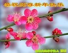 ֹ,մ󷨵ӹףʦ(23)
