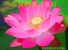 ֹ,ൺ󷨵ӹףʦ(28)
