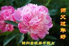 ֹ,ݴ󷨵ӹףʦ(31)
