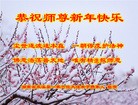 法轮功,湖南大法弟子恭祝师尊过年好(27条)
