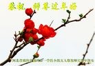 法轮功,廊坊大法弟子恭祝师尊过年好(25条)
