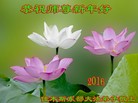 Published on 2/8/2016 ���ֹ�,��½�󷨵��ӹ�ףʦ������(39��)
