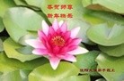 ֹ,󷨵ӹףʦ(28)
