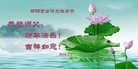 ֹ,ϴ󷨵ӹףʦ(28)
